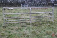 PAIR OF 10' GALVANISED GATES