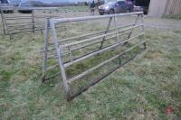 PAIR OF 10' GALVANISED GATES - 2