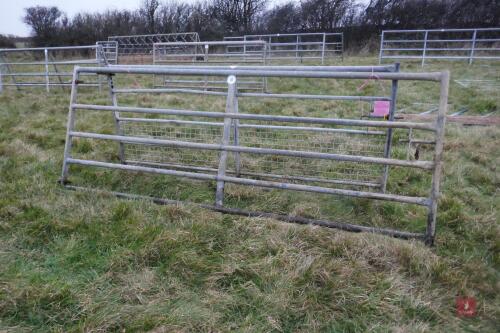 10' GALVANISED FIELD GATE