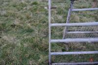 10' GALVANISED FIELD GATE - 4