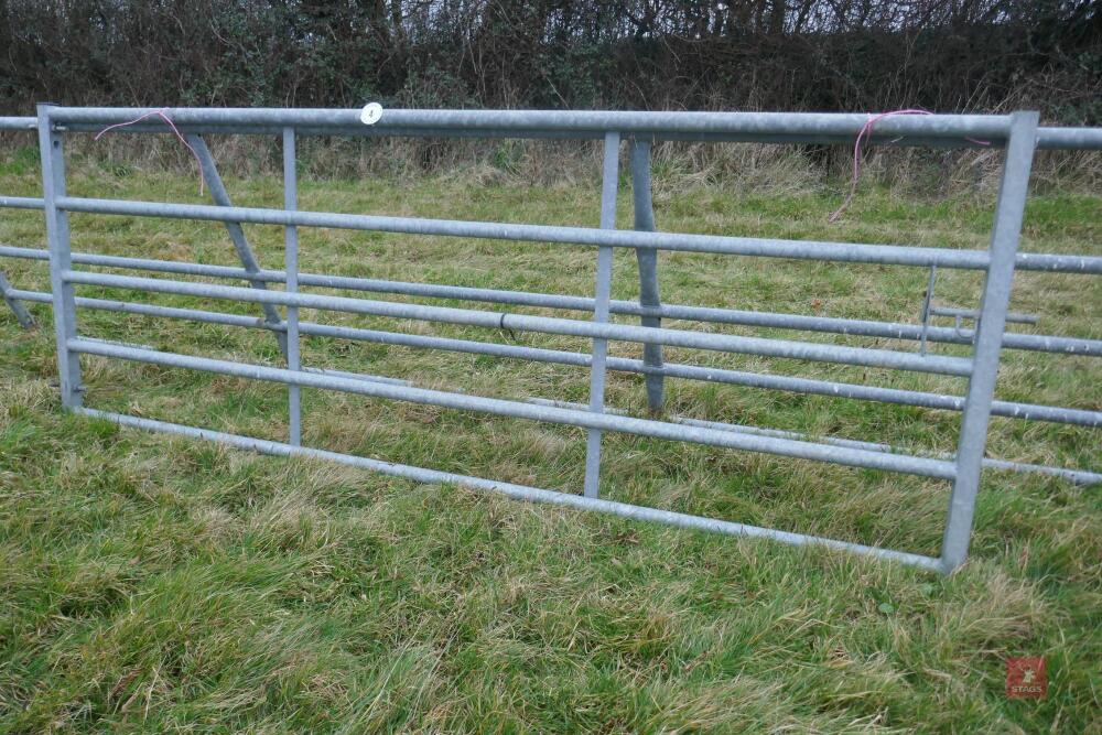 10' GALVANISED FIELD GATE