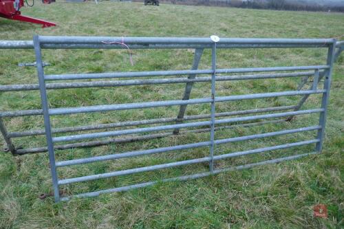 8' GALVANISED FIELD GATE