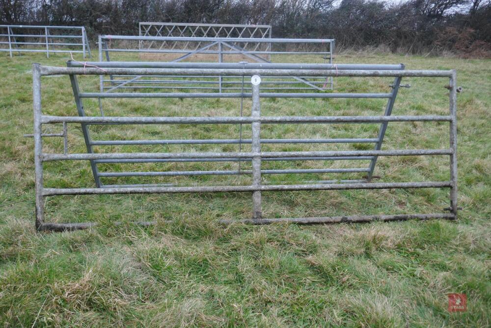 10' GALVANISED FIELD GATE