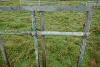 10' 4 GALVANISED ADJUSTABLE CALF CREEP GATE - 2