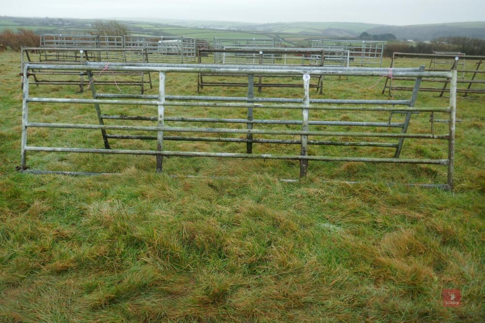 14' GALVANISED YARD GATE