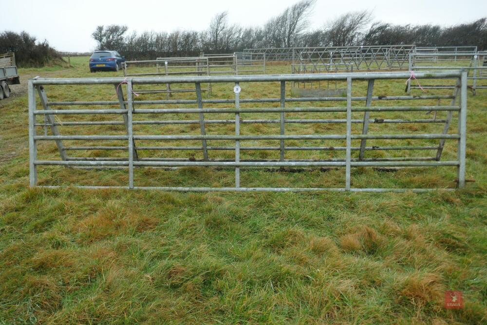 14' GALVANISED YARD GATE