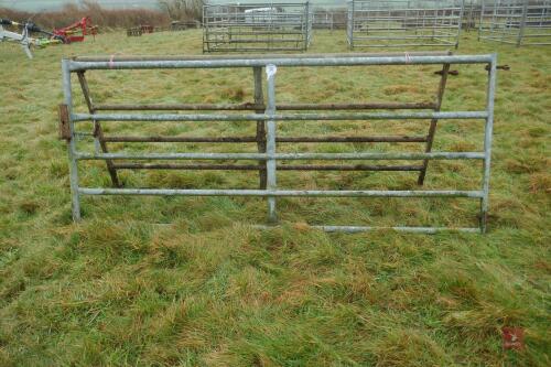 9' GALVANISED YARD GATE