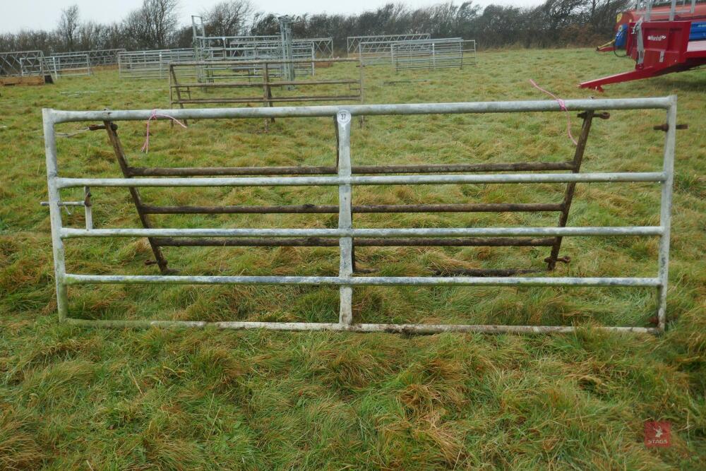 10' YARD GATE