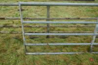 10' GALVANISED YARD GATE - 5