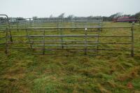 16' 8 GALVANISED YARD GATE