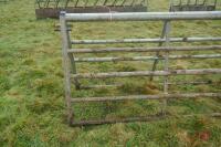 14' GALVANISED YARD GATE - 2