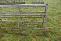 14' GALVANISED YARD GATE - 5