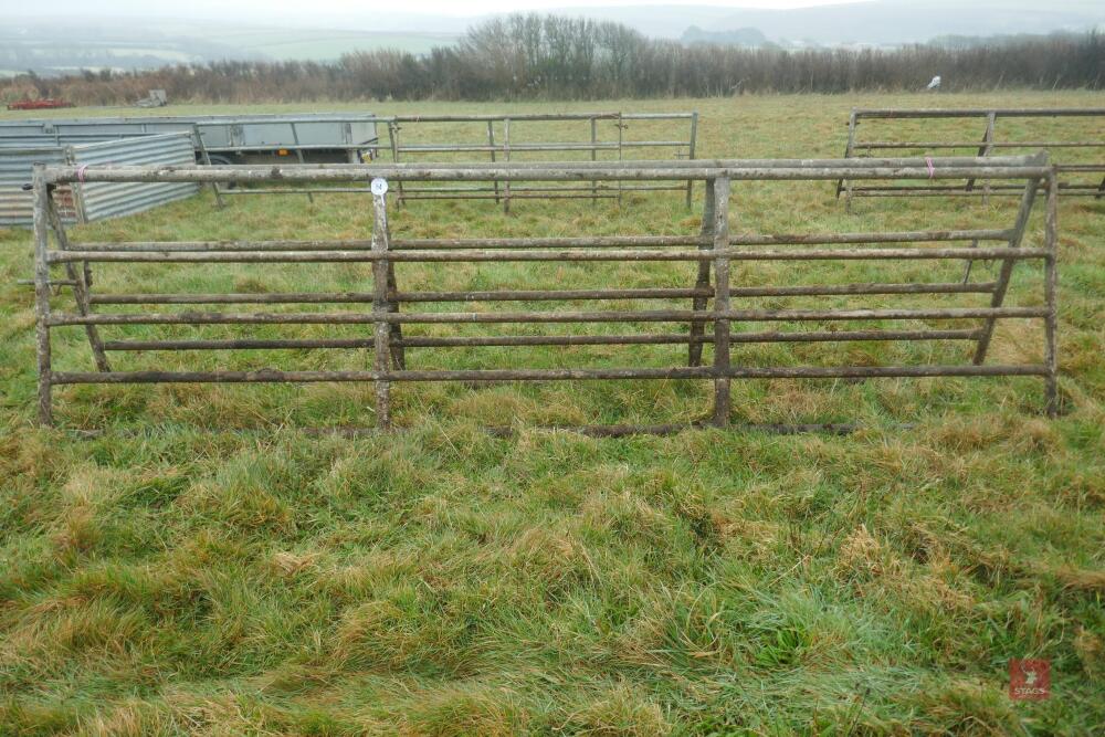 PAIR OF 14' GALVANISED YARD GATES