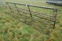 PAIR OF 14' GALVANISED YARD GATES - 5