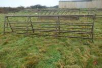 PAIR OF 14' GALVANISED YARD GATES - 8