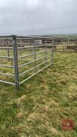 4 X 10' IAE GALVANISED CATTLE HURDLES - 2