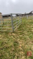 4 X 10' IAE GALVANISED CATTLE HURDLES - 6