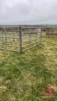 4 X 10' IAE GALVANISED CATTLE HURDLES - 2