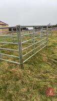 4 X 10' IAE GALVANISED CATTLE HURDLES - 5