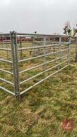 4 X 10' IAE GALVANISED CATTLE HURDLES - 3