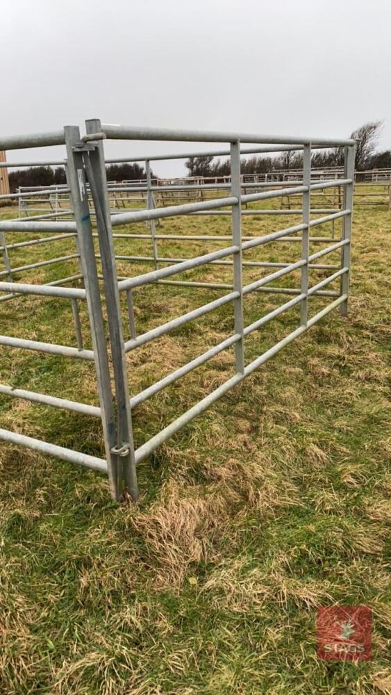 4 X 10' IAE GALVANISED CATTLE HURDLES