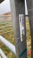 4 X 10' IAE GALVANISED CATTLE HURDLES - 5