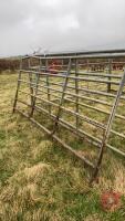 5 X 10' IAE GALVANISED CATTLE HURDLES - 2