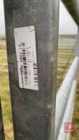 5 X 10' IAE GALVANISED CATTLE HURDLES - 4