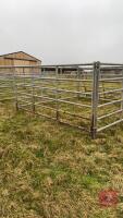 5 X 10' IAE GALVANISED CATTLE HURDLES - 5