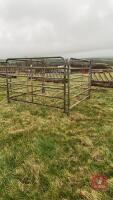 4 X 8' X 5' 7'' GALVANISED CATTLE HURDLES - 2