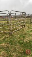 4 X 8' X 5' 7'' GALVANISED CATTLE HURDLES - 3