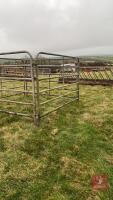 4 X 8' X 5' 7'' GALVANISED CATTLE HURDLES - 2