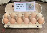 1 DOZEN RHODE ISLAND RED HATCHING EGGS BIDS FOR THE DOZEN
