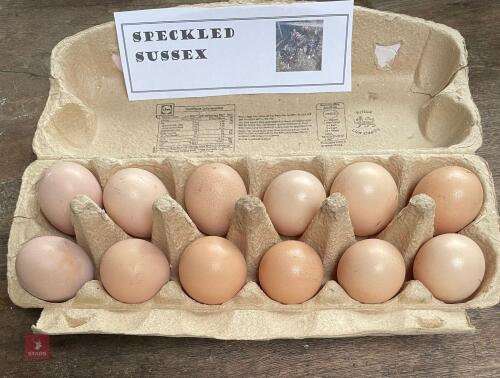 1 DOZEN SPECKLED SUSSEX HATCHING EGGS BIDS FOR THE DOZEN