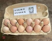 1 DOZEN LIGHT SUSSEX HATCHING EGGS BIDS FOR THE DOZEN