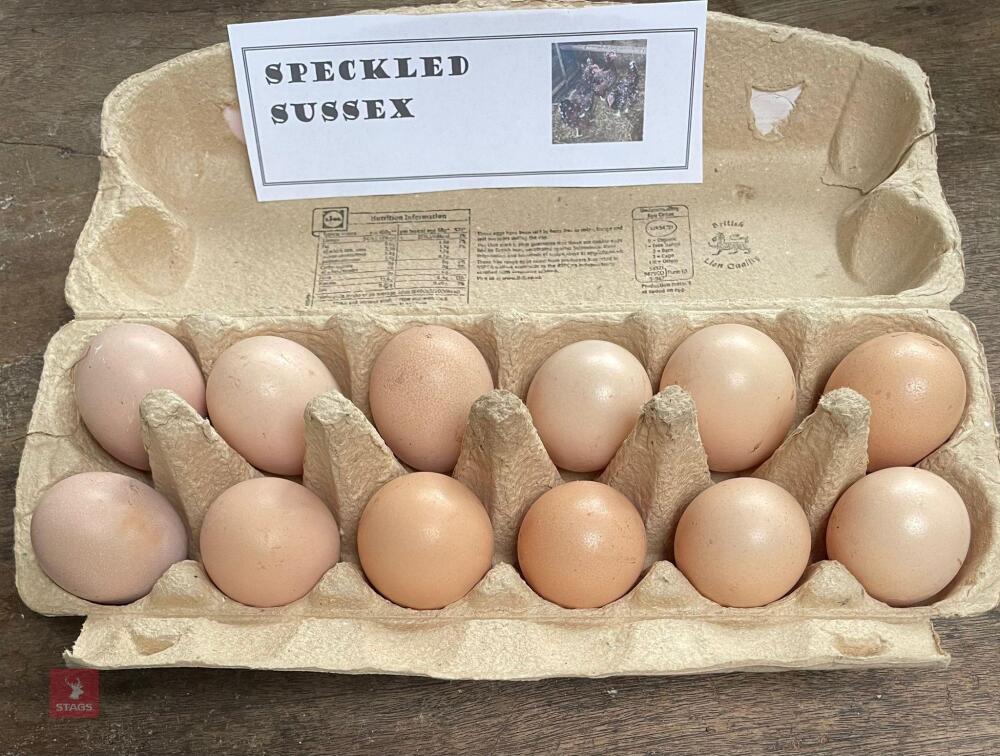 1 DOZEN SPECKLED SUSSEX HATCHING EGGS BIDS FOR THE DOZEN