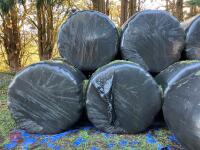 25 ROUND BALES OF 2024 SILAGE BIDS PER BALE - 2