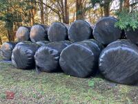25 ROUND BALES OF 2024 SILAGE BIDS PER BALE - 3