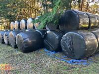 25 ROUND BALES OF 2024 SILAGE BIDS PER BALE - 4