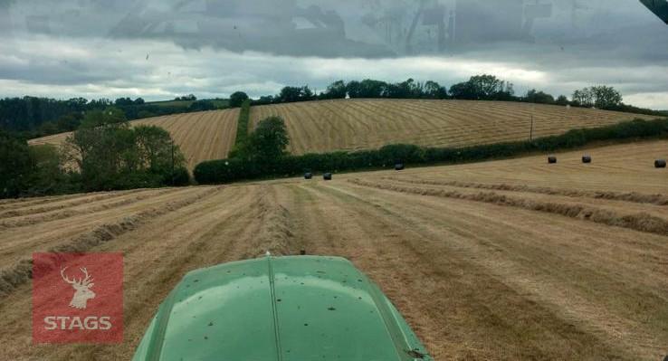 50 ROUND BALES OF 2024 HAYLAGE BIDS PER BALE