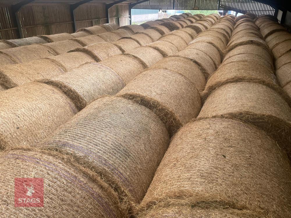 50 ROUND BALES OF 2024 HAY BIDS PER BALE