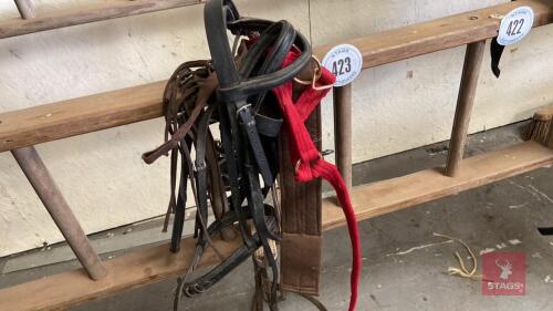 STIRRUPS & REINS