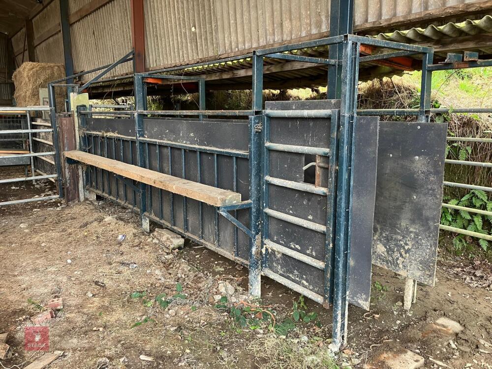 29' FIXED CATTLE RACE
