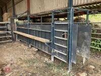29' FIXED CATTLE RACE