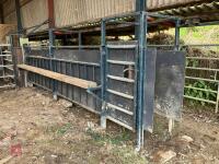 29' FIXED CATTLE RACE - 2