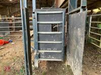 29' FIXED CATTLE RACE - 4