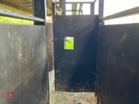 29' FIXED CATTLE RACE - 9