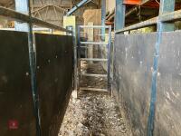 29' FIXED CATTLE RACE - 10