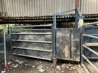 29' FIXED CATTLE RACE - 17