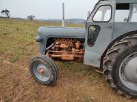 1957 FERGUSON FE35 2WD TRACTOR - 5
